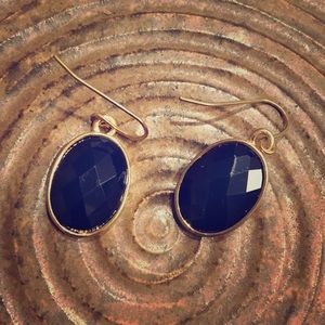 Dark Blue Drop Down Earrings